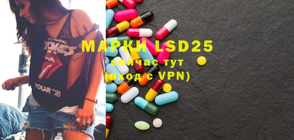 стаф Рославль