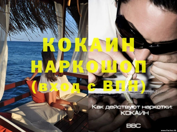 стаф Рославль